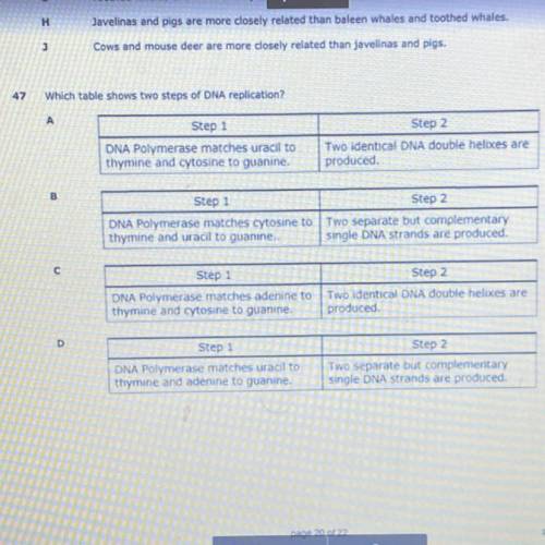 47

 Which table shows two steps of DNA replication?
А
Step 1
DNA Polymerase matches uracil to
thy