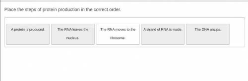 Place the steps of protine in the correct order