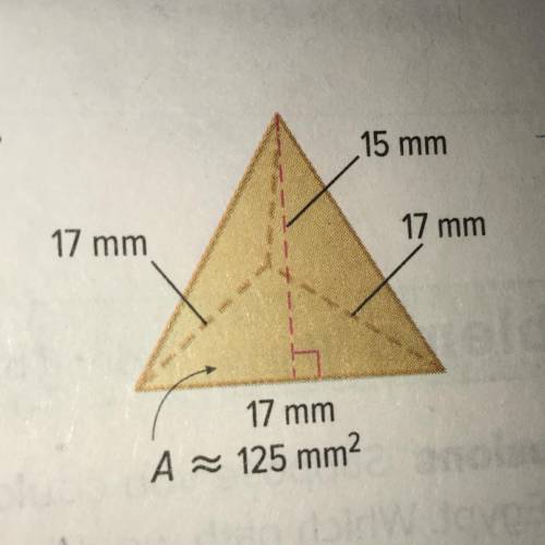 Find the total surface area of each pyramid. Round to the nearest tenth.