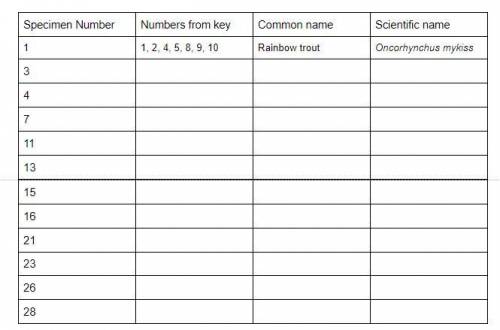 Use the key to identify the fish.

Start by reading the first pair of statements, then decide whic