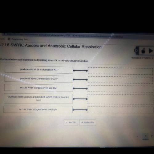 Decide whether each statement is describing anaerobic or aerobic cellular respiration.