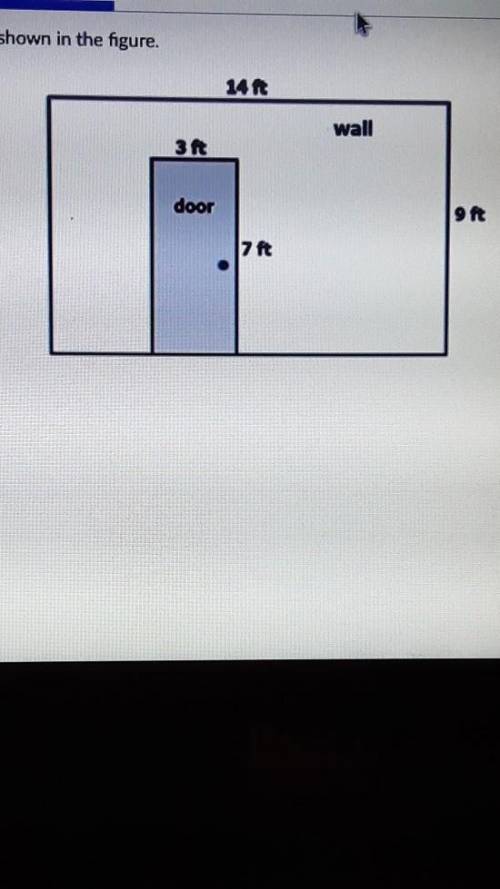 Zelda is painting one wall of her room. The dimensions are shown in the figure. 14 ft wall 3 ft doo