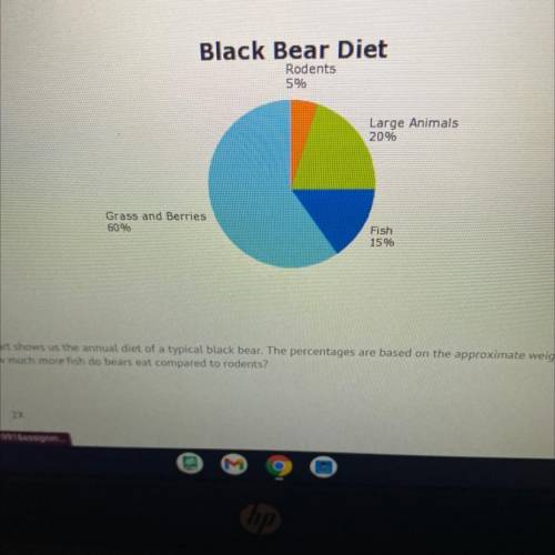 The pie chart shows us the annual diet of a typical black bear. The percentages are based on the ap