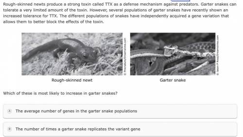 Please help both the images are the same but the second one has the answer choices