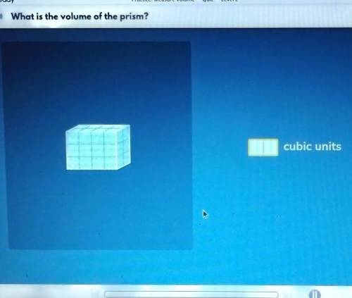 What is the volume of the prism?​