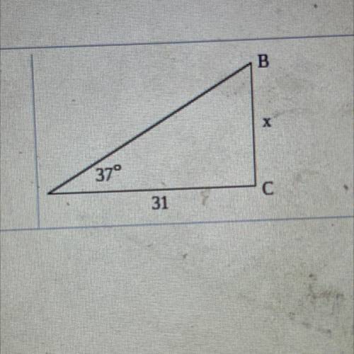 Solve for x 
I don’t have much time pls help. Round to the nearest hundredth