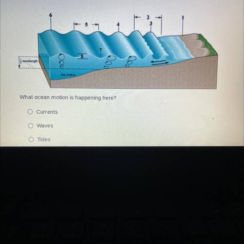 Please help I have been on this problem for more than 20min and I still can’t get which one is it