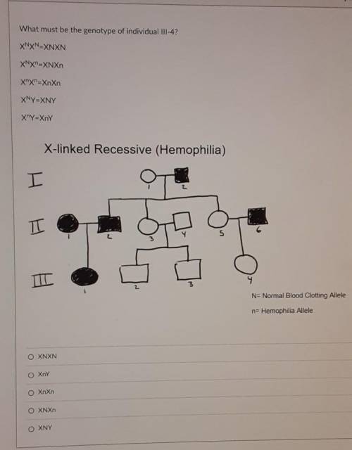 What is the genotype ​