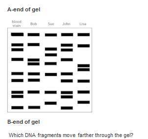 Biology please help need asap