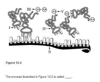 Biology need help asap