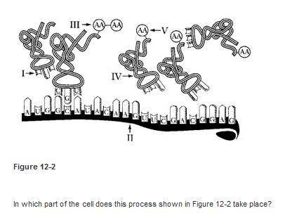 Biology need help asap