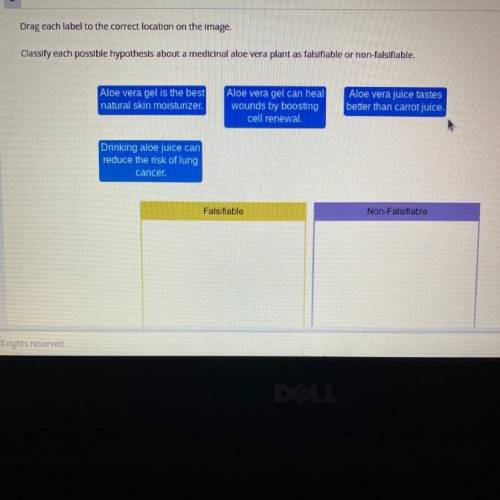 Classify each possible hypothesis about a medicinal aloe vera plant as falsifiable or non-falsifiab