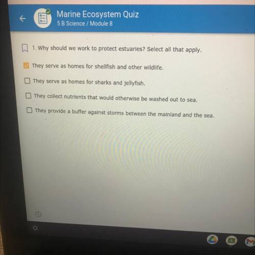 Why should we work to protect estuaries? Select all that apply.
PLSSSS