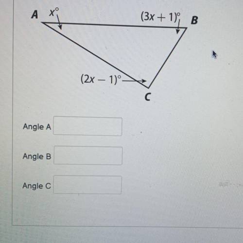 Please find the measure of each angle in the degrees!