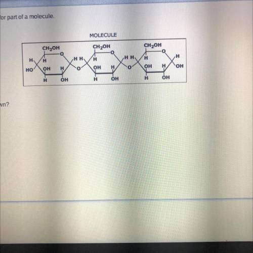 SC 92 Sog 0 2 Nake-up

The diagram below shows the structure for part of a molecule
What subunits