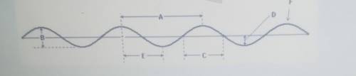 The amplitude of the wave in image above is represented by the letter?

ABCDEF ​