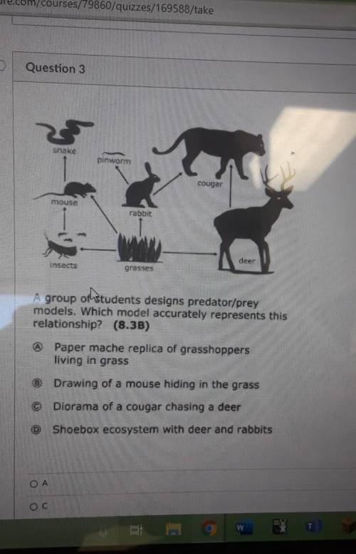 Question 3 snake pinworm cougar mouse rabbit deer Insects grasses A group of students designs preda