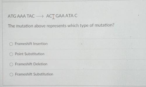 The mutation above represents which type of mutation?! ​