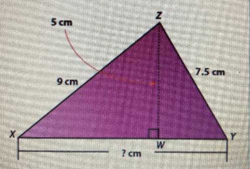 The triangle shown has an area of 32.5 square centimeters. Find the measure of the base (segment XY