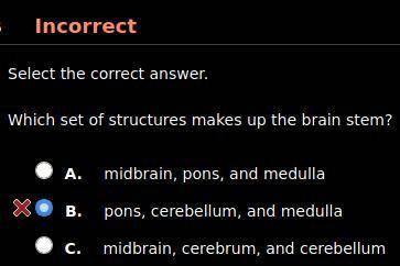 Which set of structures makes up the brain stem? HINT: It's not B.

A. midbrain, pons, and medulla