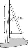 Please help asap 50 points The sail of a boat is in the shape of a right triangle, as shown below: