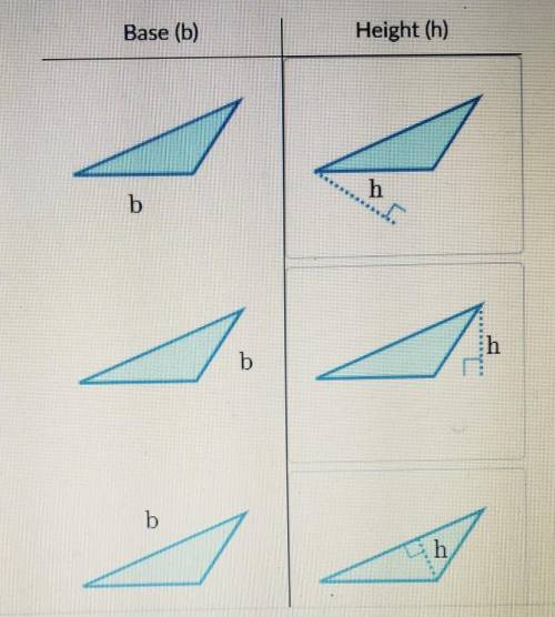 Match the base to the corresponding height​