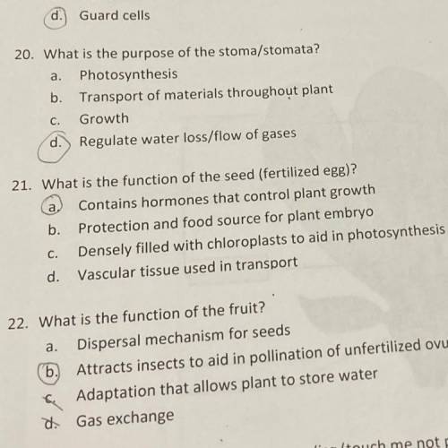 What is the function of the seed (fertilized egg)?
Q#21 on pic