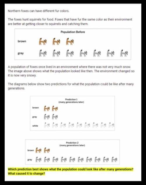 Which is the best Prediction? (PLEASE ANSWER ASAP!! I WILL AWARD BRAINLIEST) (image below)

1. Pre