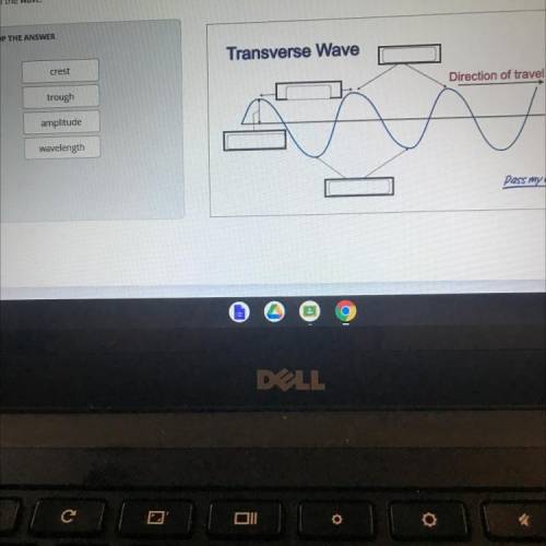 Label the parts of the wave