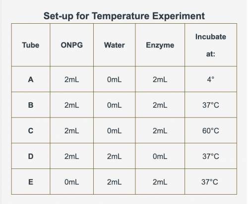 Explain why the most O-Nitrophenol was produced in Tube B