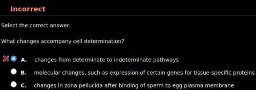 What changes accompany cell determination? HINT: It's not A.

A. changes from determinate to indet
