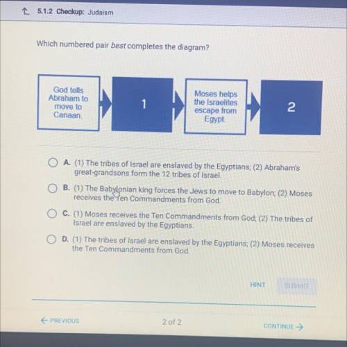 Which numbered pair best completes the diagram?