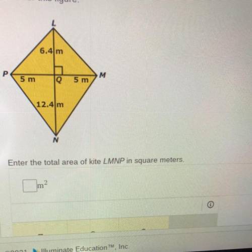 Enter the total area of kite LMNP in square meters