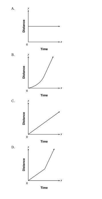 Can someone please help me with math.