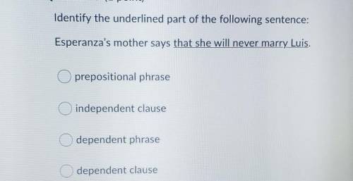 Identify the underlined part of the following sentence:

Esperanza's mother says that she will nev