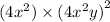 (4 {x}^{2}  )\times (4 {x}^{2}  {y)}^{2}