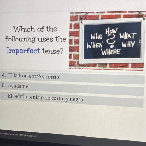 Which of the

following uses the
Imperfect tense?
HOW
WHO
WHAT
WHEN WHY
WHERE
2
A. El ladrón entró