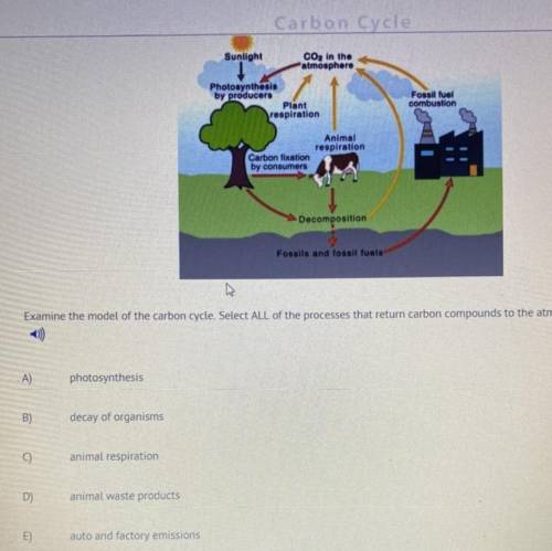 SOMEONE PLEASE HELP

Examine the model of the carbon cycle select all of the processes that we tur