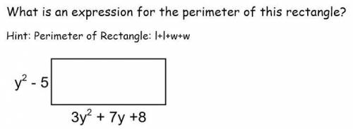 What is the expression for the perimeter of this rectangle.