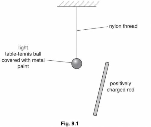 A plastic rod is rubbed with a cloth and becomes positively charged. After charging, the rod is hel