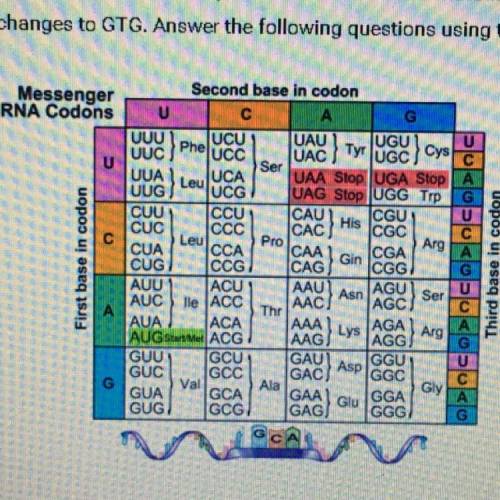 D) What is the new RNA sequence? Hint: In RNA, A pairs with U. (1 point)

e) What are the first th