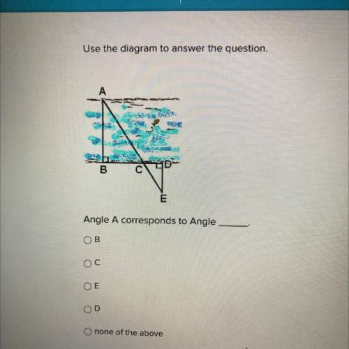 Angle A corresponds to Angle
OB
Oc
ОЕ
OD
none of the above