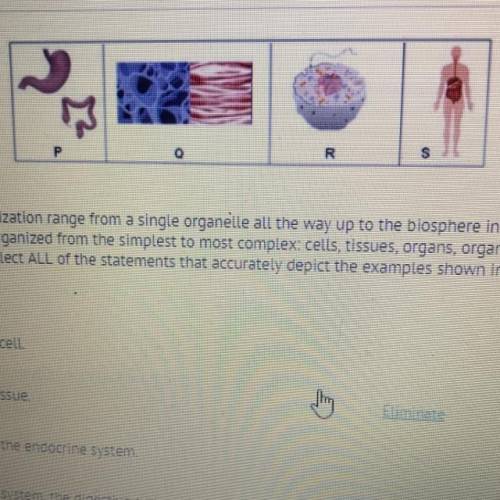 The biological levels of organization range from a single organelle all the way up to the biosphere