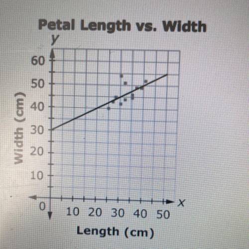 This scatter plot shows the relationship between the length and width of a certain type of flower p