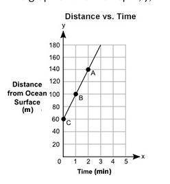 20 POINTS PLEASE HELP ASAP

The graph shows the depth, y, in meters, of a shark from the surface o