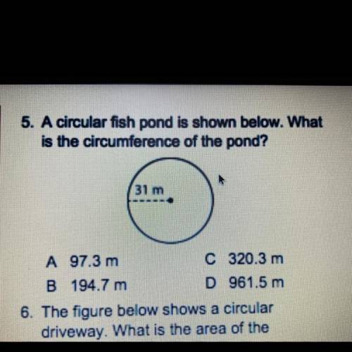 What
5. A circular fish pond is shown below. What
is the circumference of the pond?
31 m