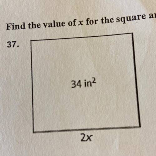Find the value of x for the square. If necessary, round up to the nearest tenth.