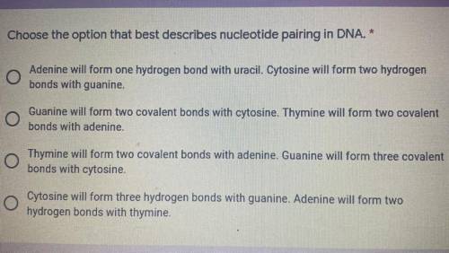 Choose the option that best describes nucleotide pairing in DNA.
*
