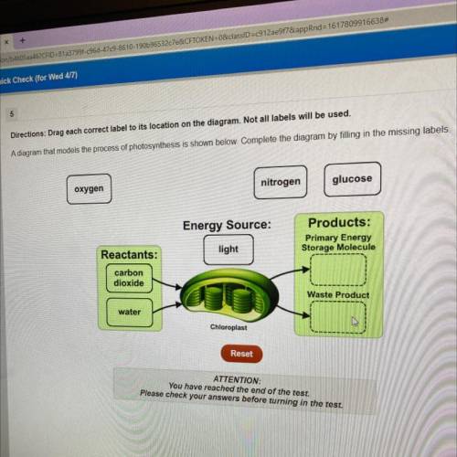 A diagram that models the process of photosynthesis is shown below complete the diagram by filling