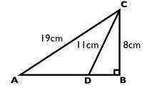 Determine the approximate length of the segment AD *